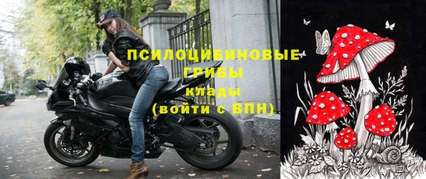 шишки Долгопрудный