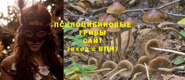 соль курить ск Новый Уренгой