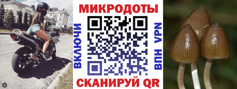 Псилоцибиновые грибы мухоморы  купить  сайты  Агрыз 